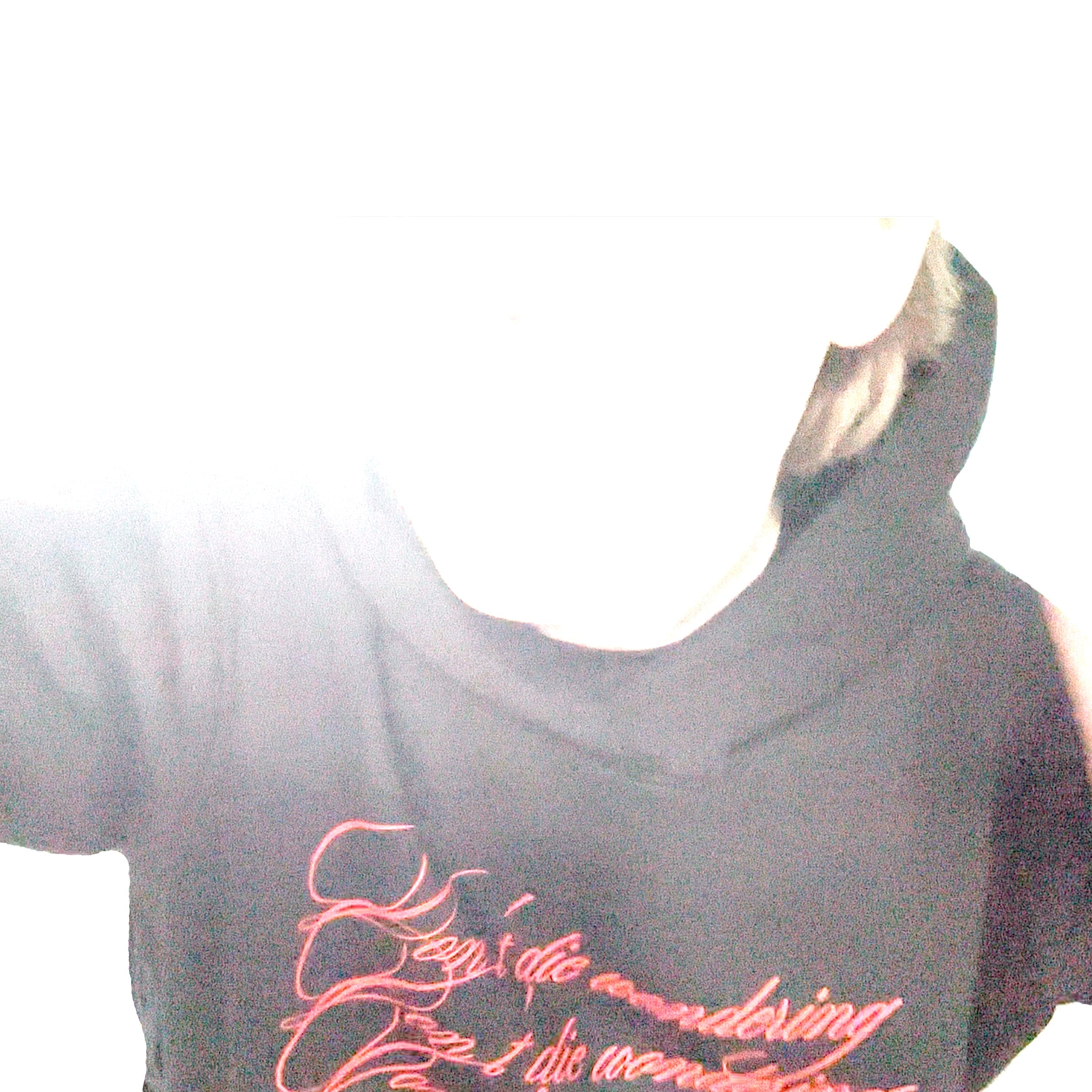 don't die wondering. hoodie