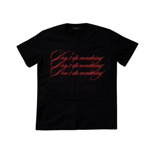 don't die wondering. t-shirt